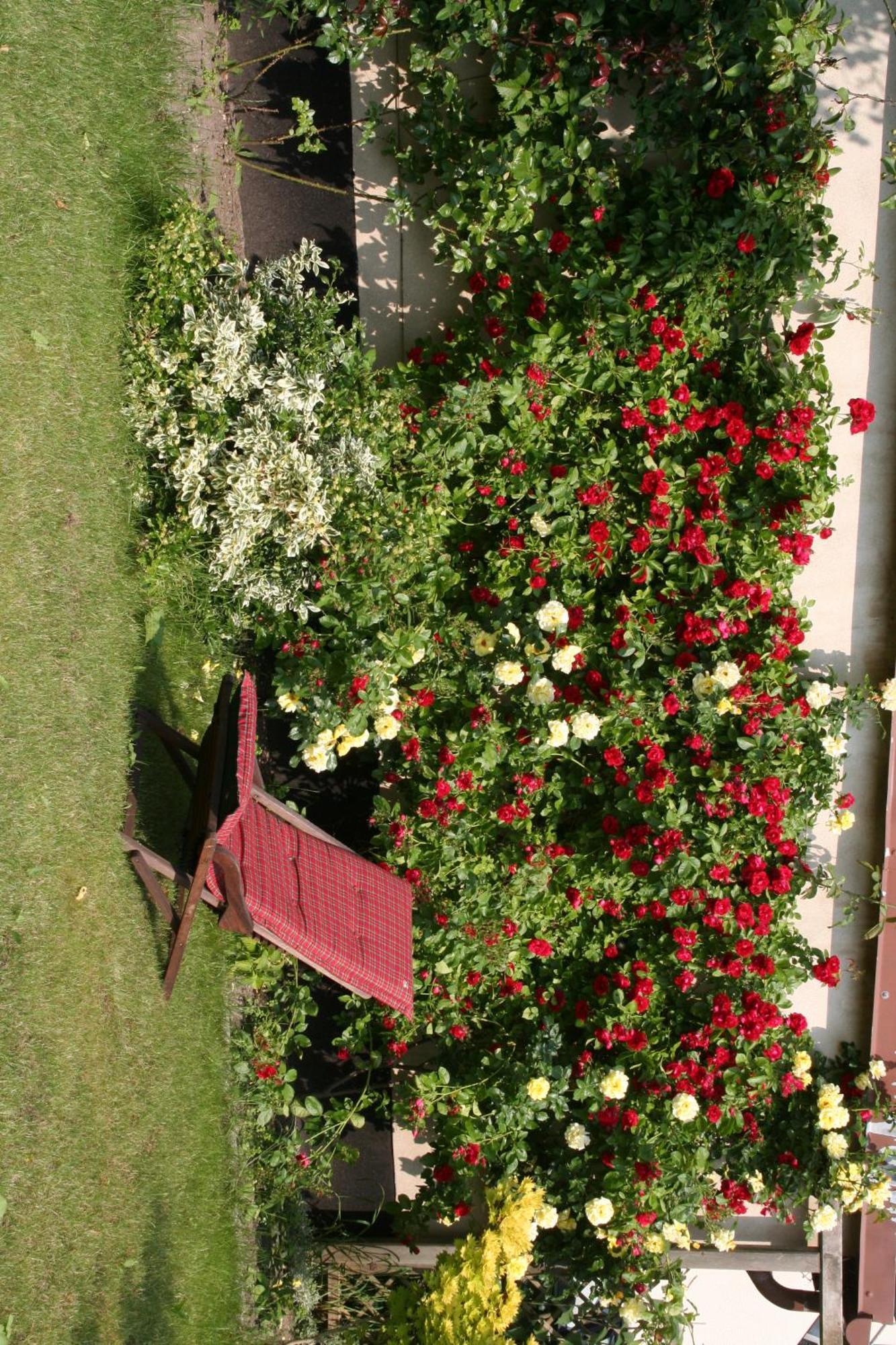 Pension Villa Beer Stralsund Ngoại thất bức ảnh